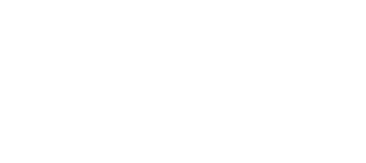 page logo blanc